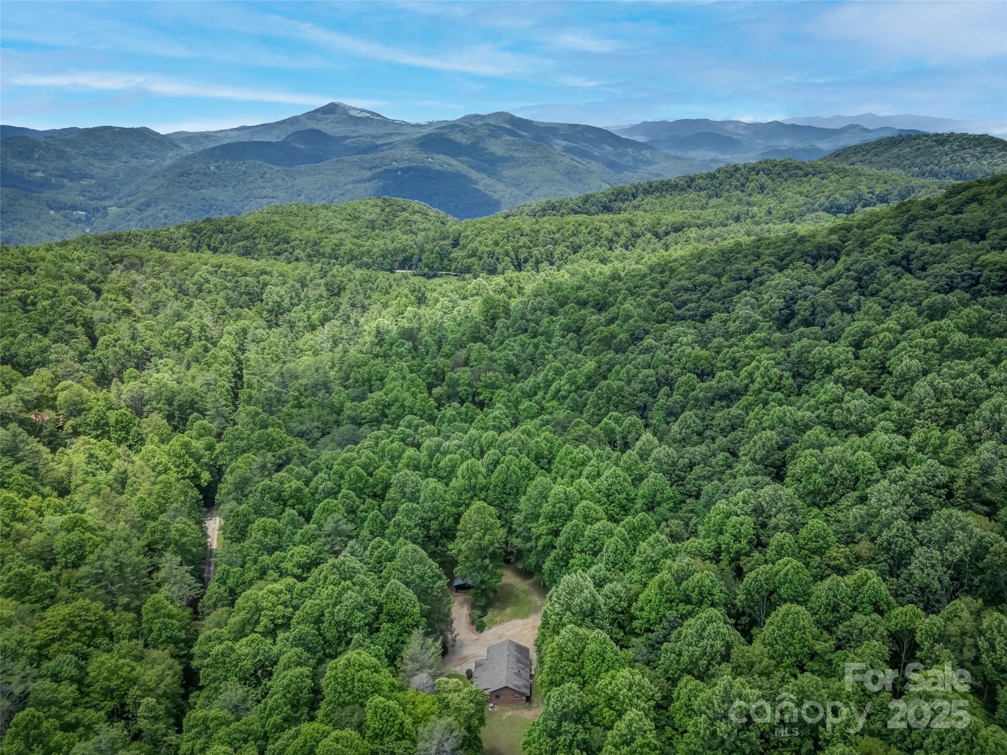 186 Sloshy Branch Trail