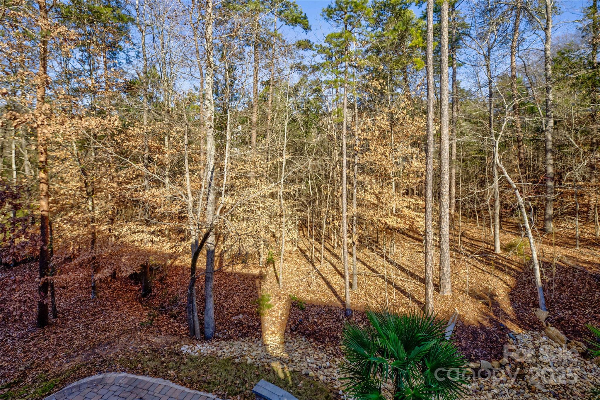 The Palisades - Residential