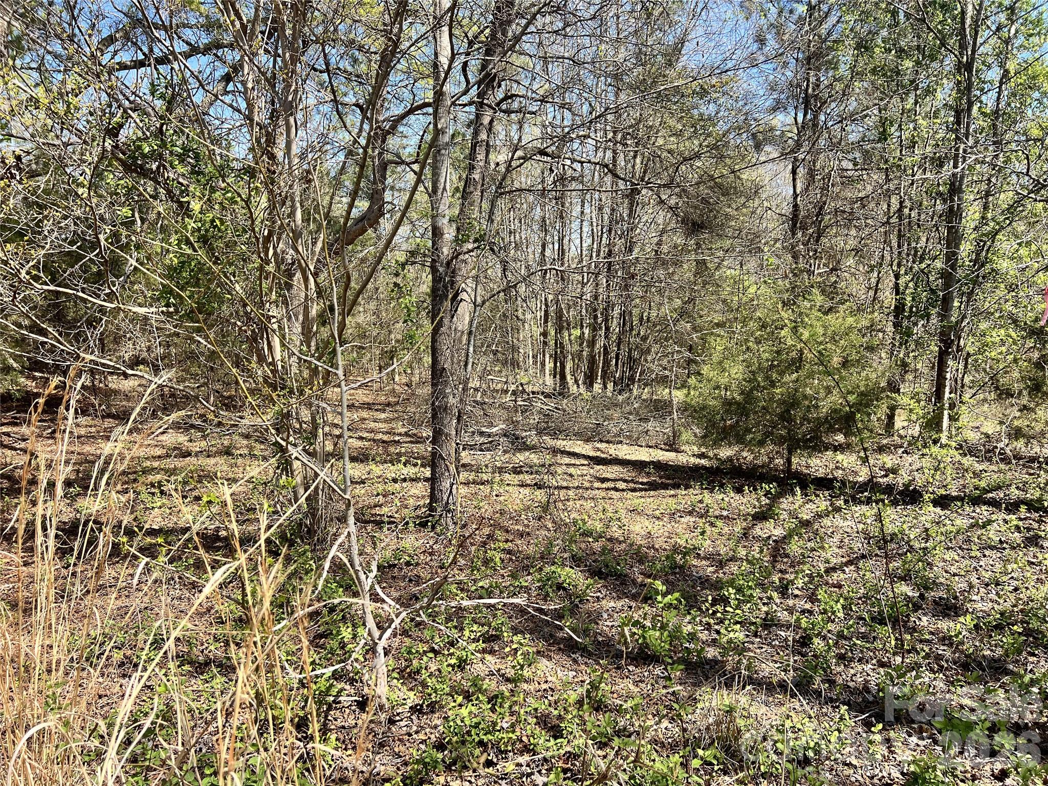 Victoria Lake - Land