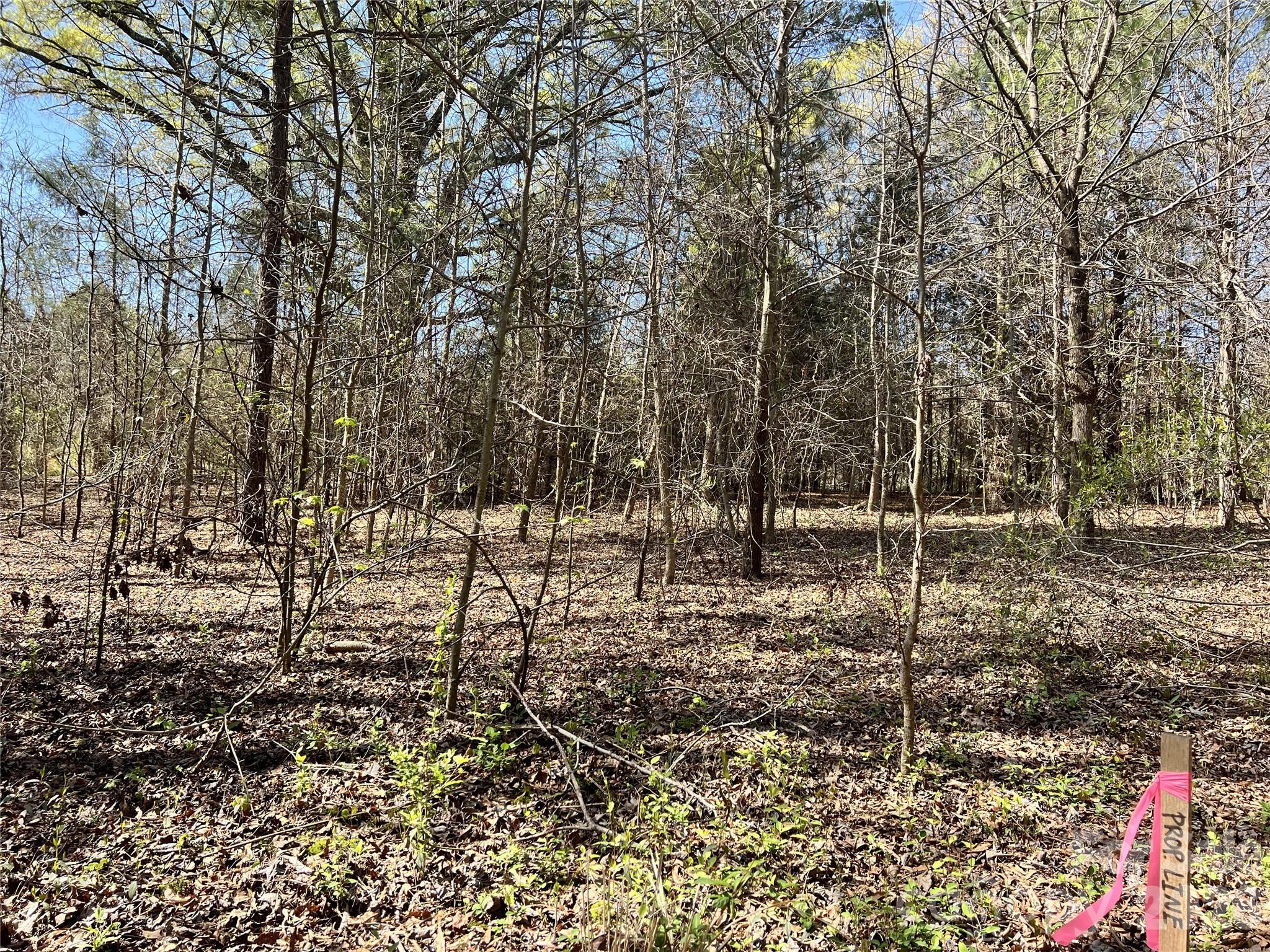 Victoria Lake - Land