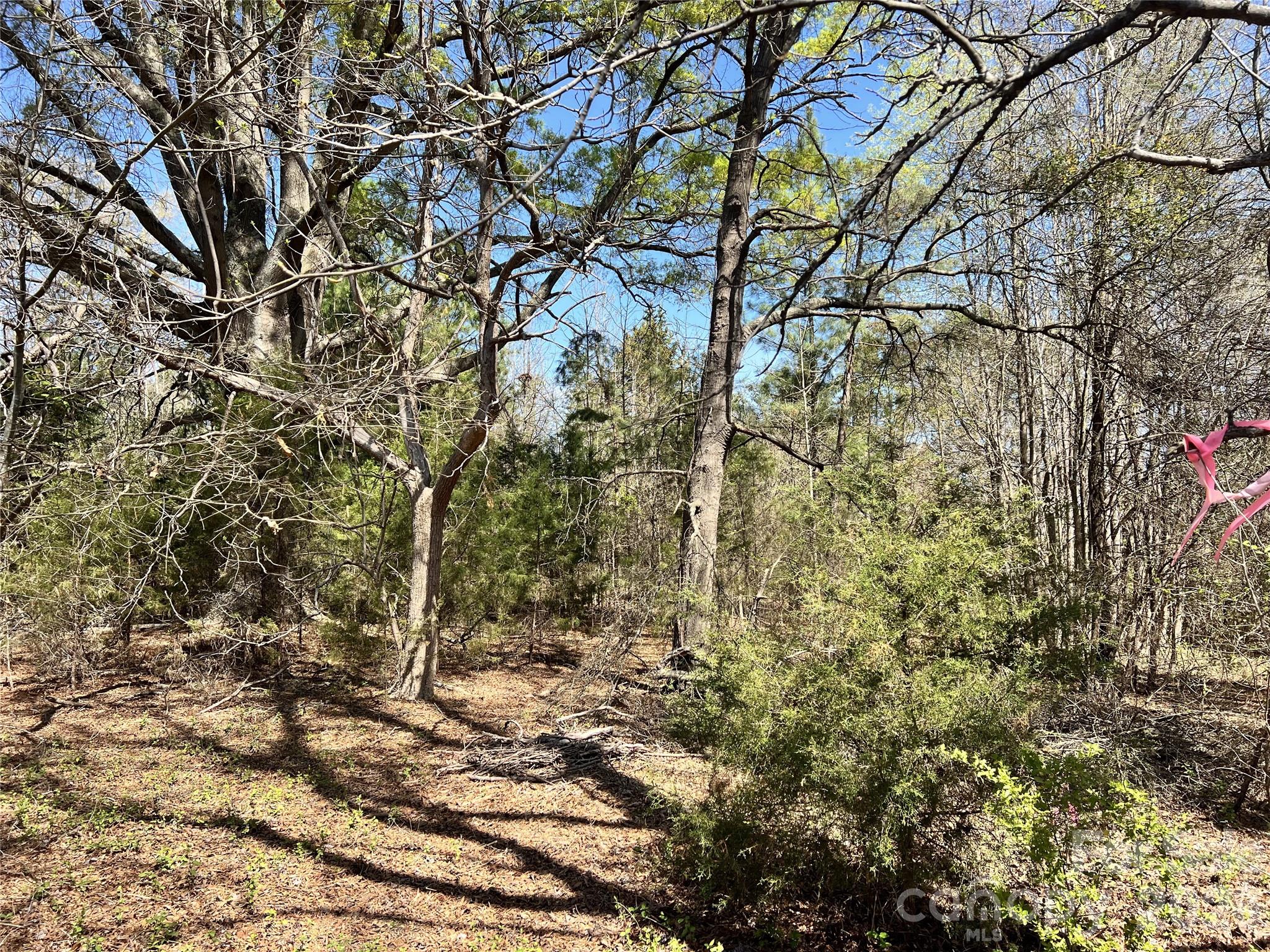 Victoria Lake - Land