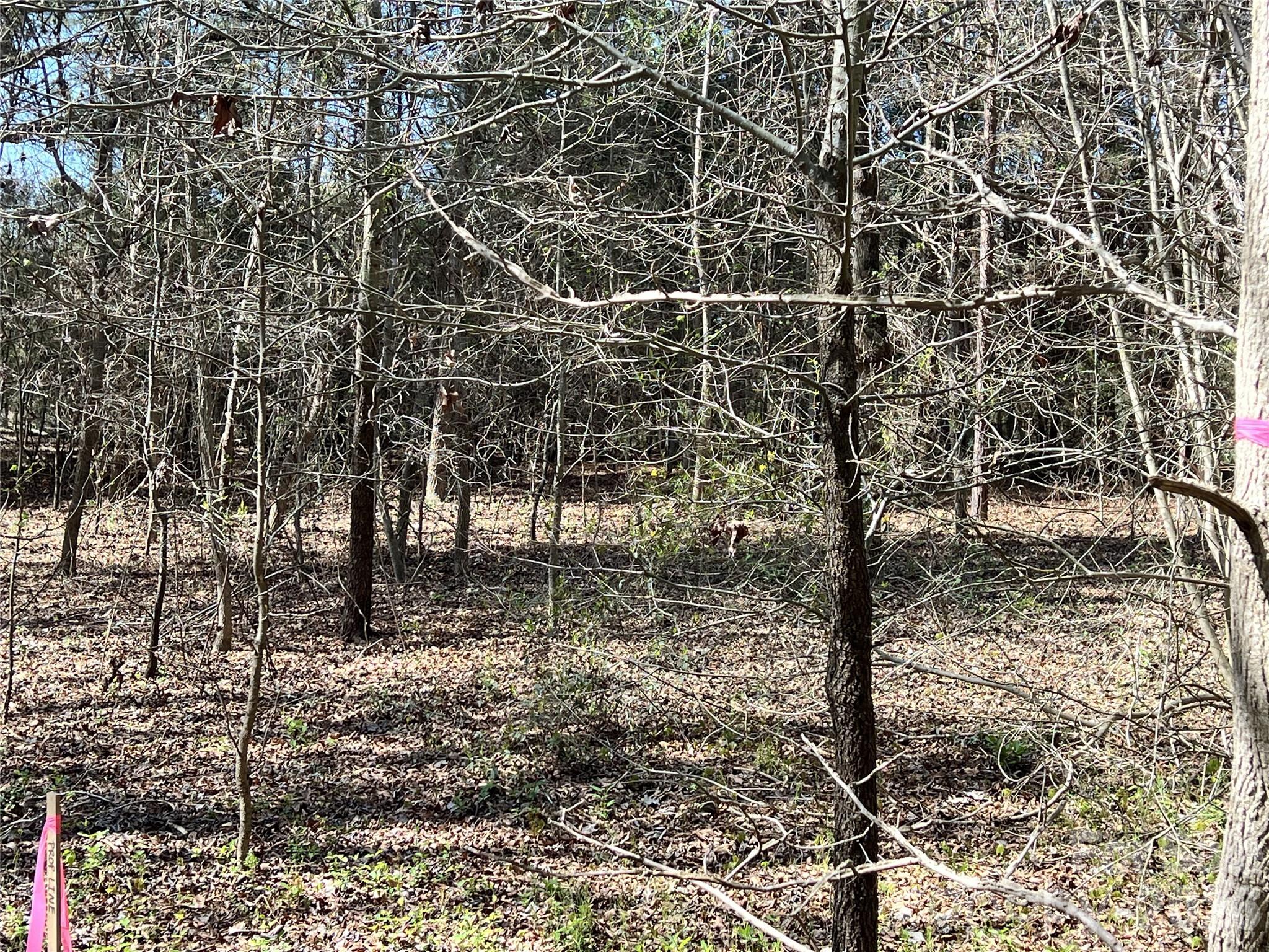 Victoria Lake - Land