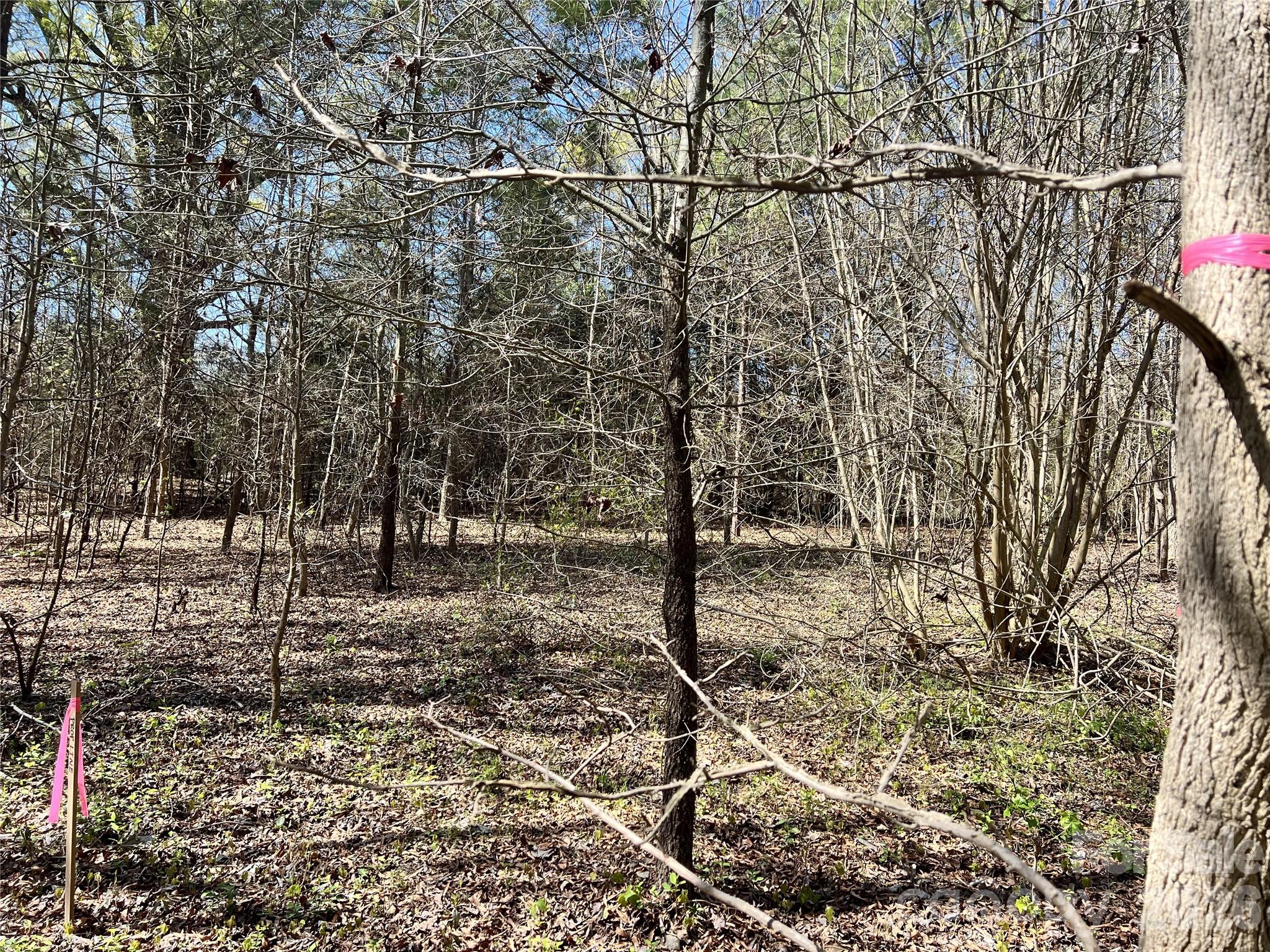 Victoria Lake - Land