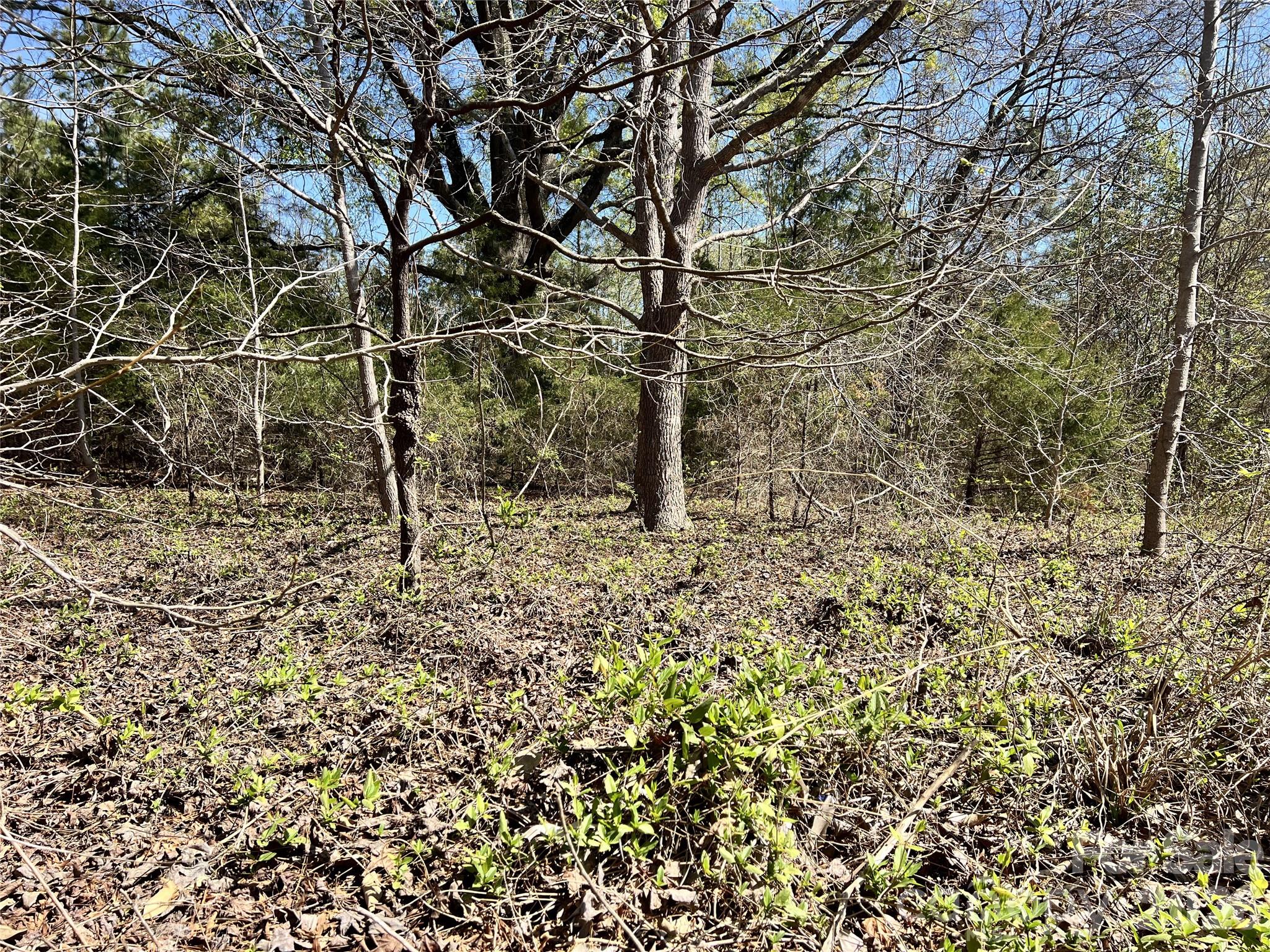 Victoria Lake - Land