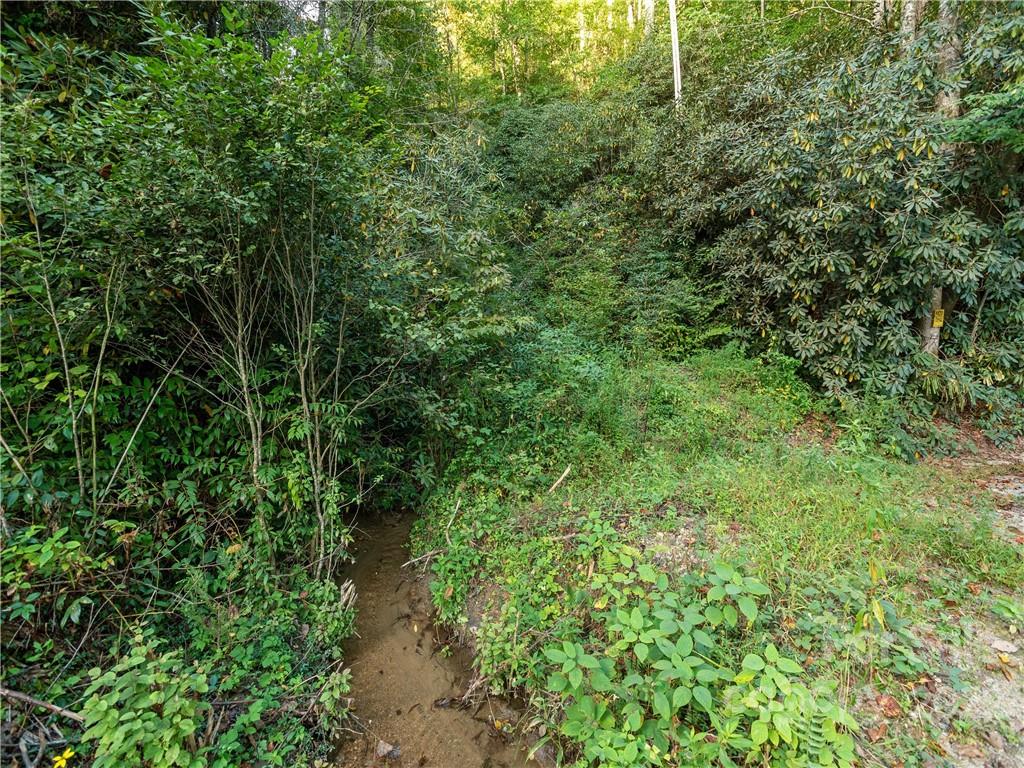 Line Runner Ridge - Land