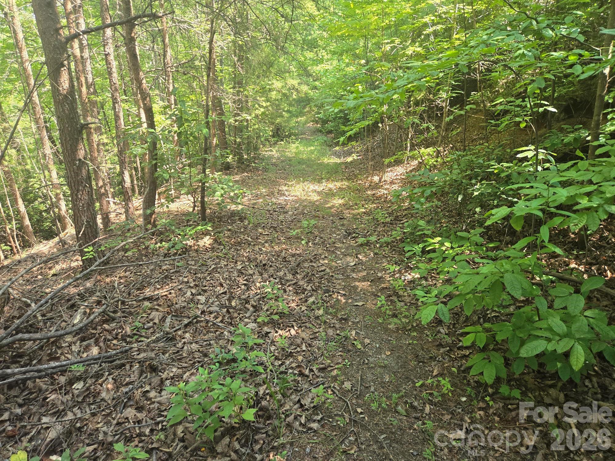 Lot 1 & 2 Eagles Crest Way
