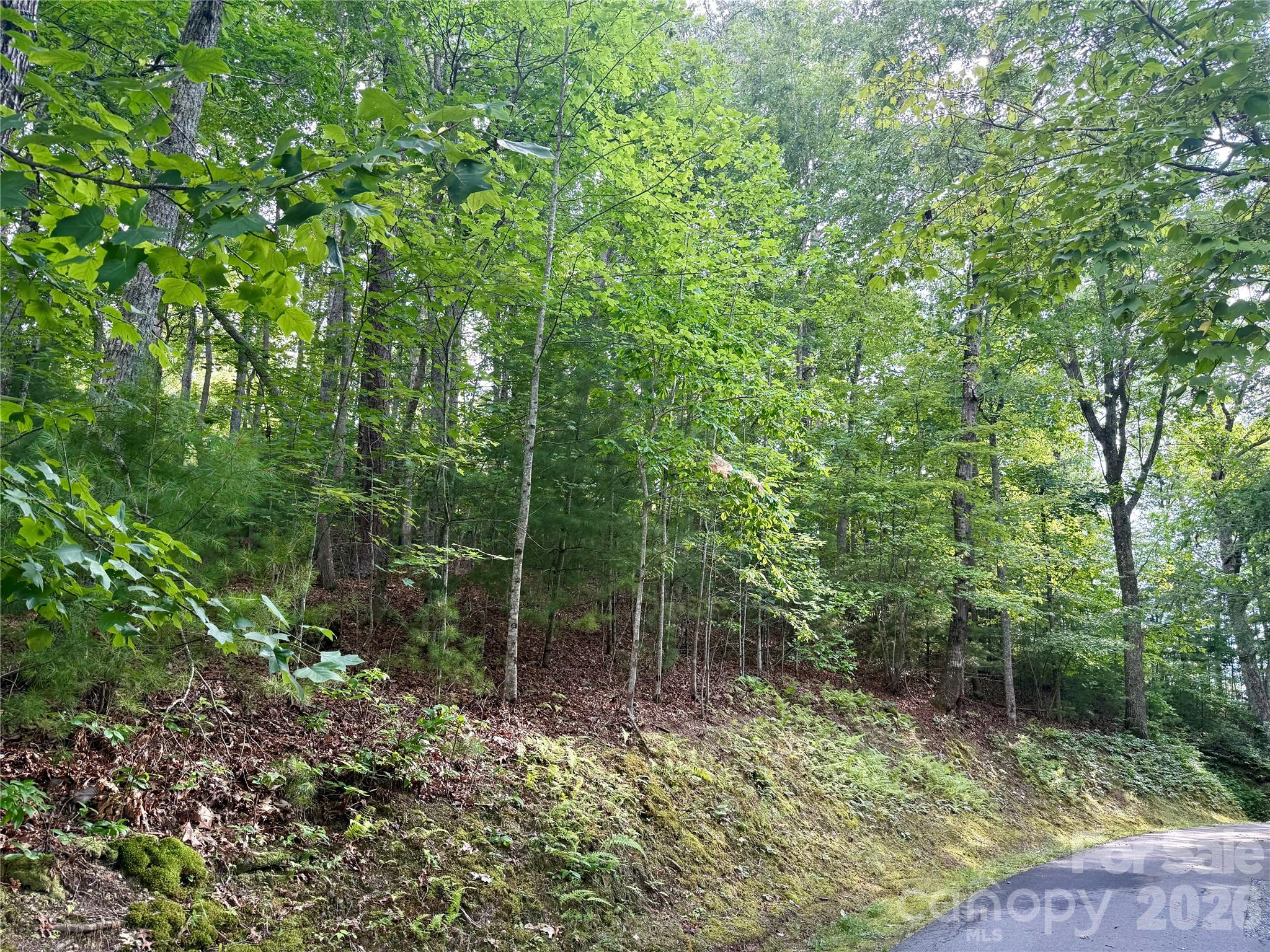 75 Longview Court Unit 4, Marshall, NC, 28753