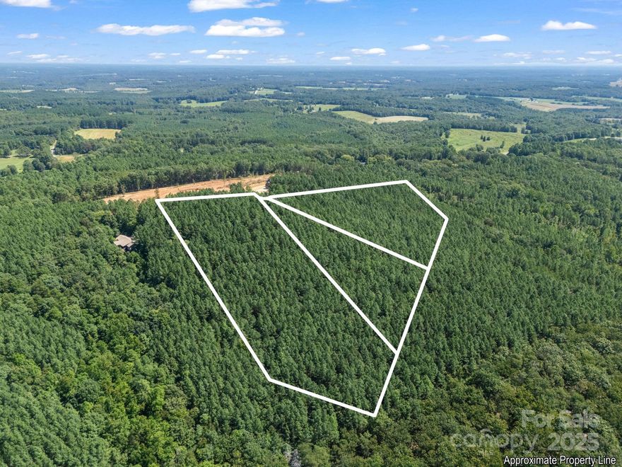 Over 5 acres in the gated Moore Mountain Farms community! This beautiful property showcases stunning views, privacy, and endless potential. Tucked away in the scenic foothills of North Carolina, you’ll enjoy a tranquil setting while still being conveniently located—just about an hour from both Charlotte and Asheville. With minimal HOA and light restrictions, it’s perfect for an investment, a primary residence, or a serene mountain getaway. Come experience it in person—photos simply can’t capture its full beauty!