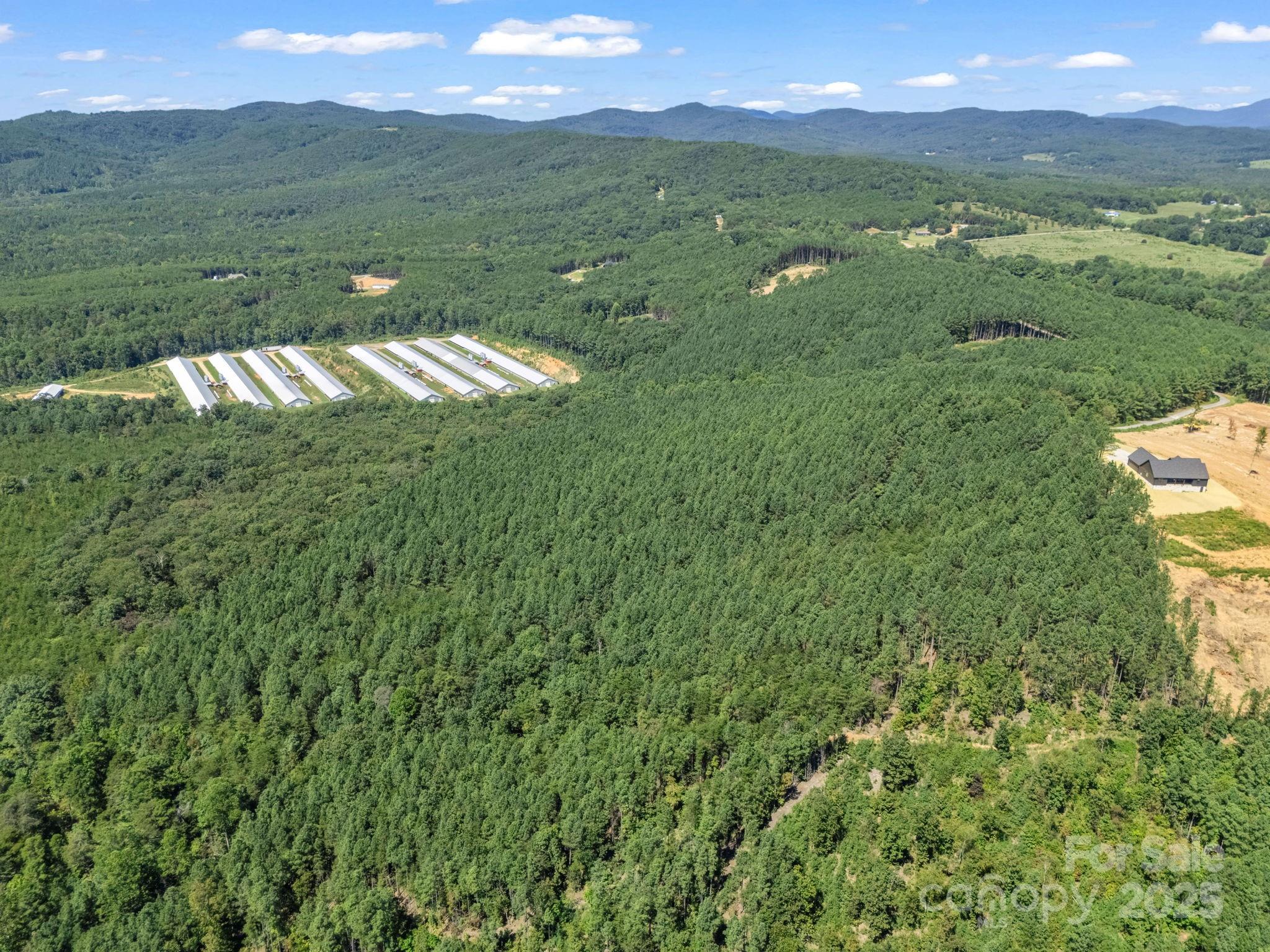 Moore Mountain Farms - Land