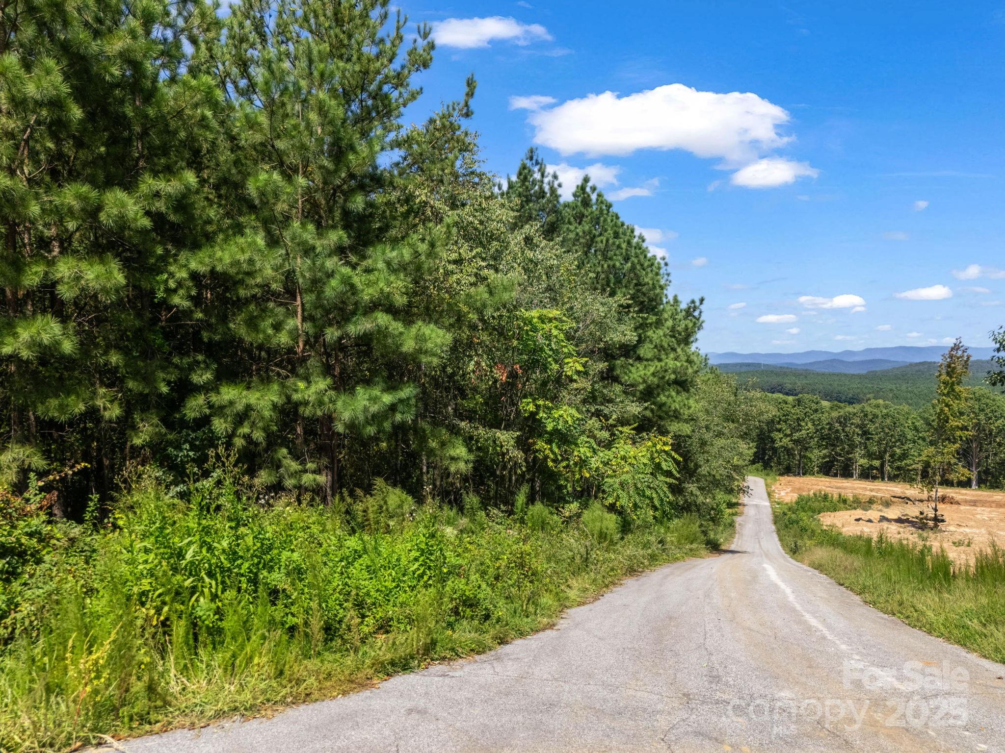 Moore Mountain Farms - Land