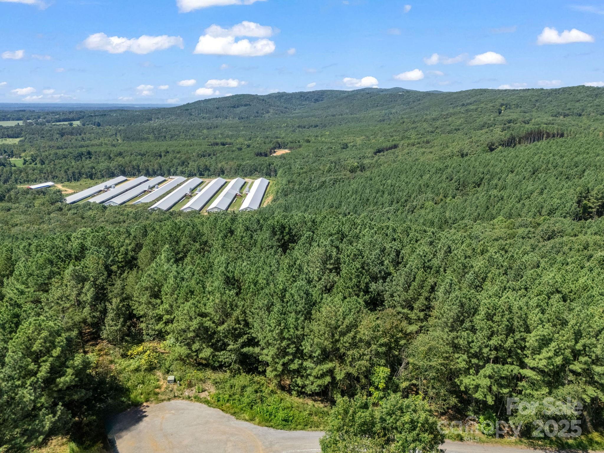 Moore Mountain Farms - Land