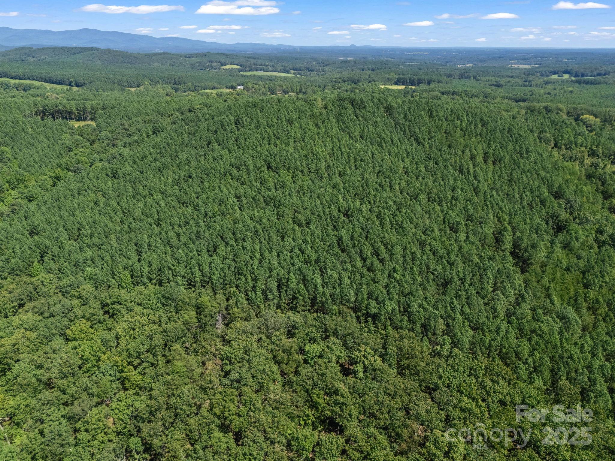 Moore Mountain Farms - Land