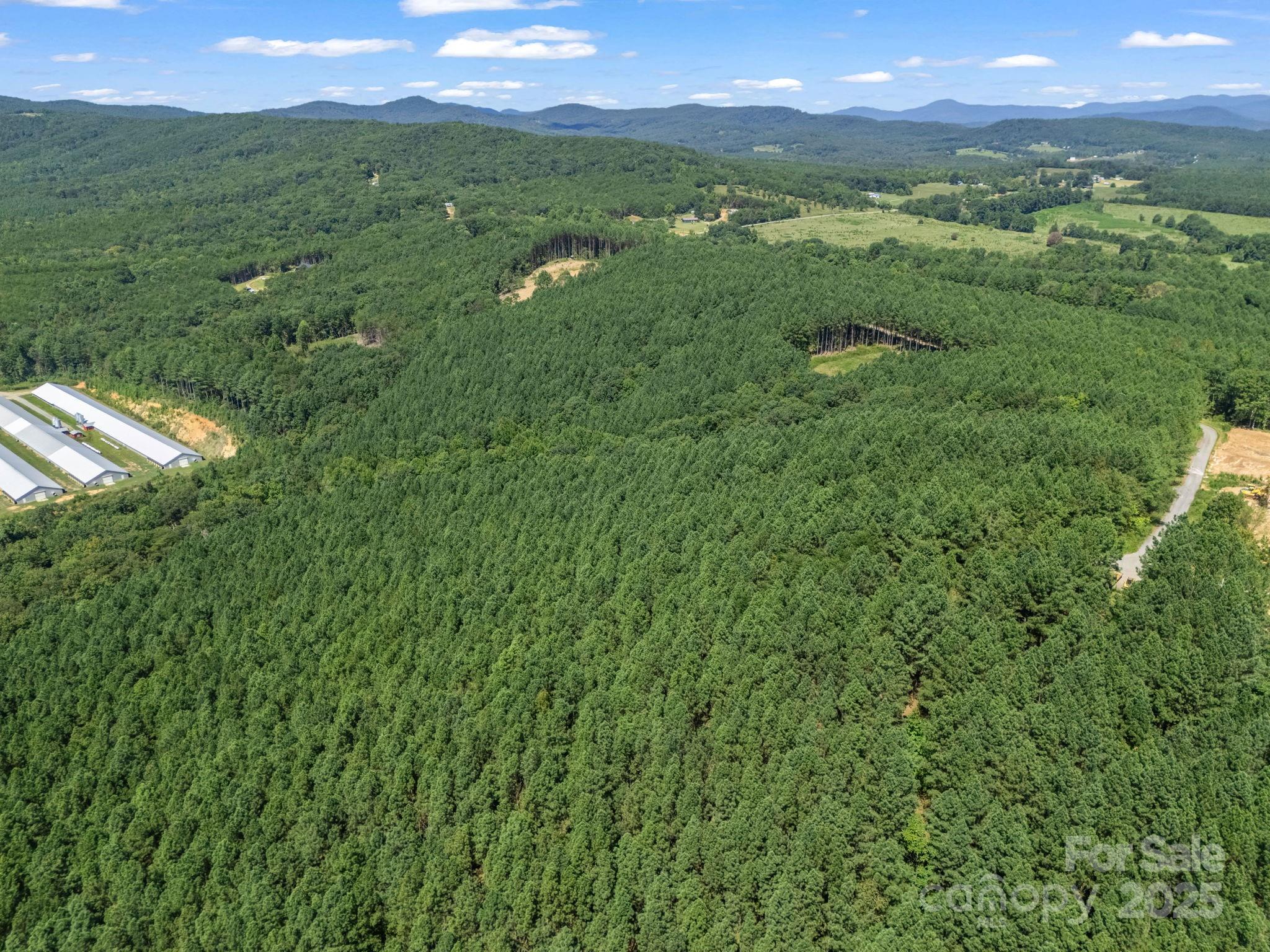 Moore Mountain Farms - Land