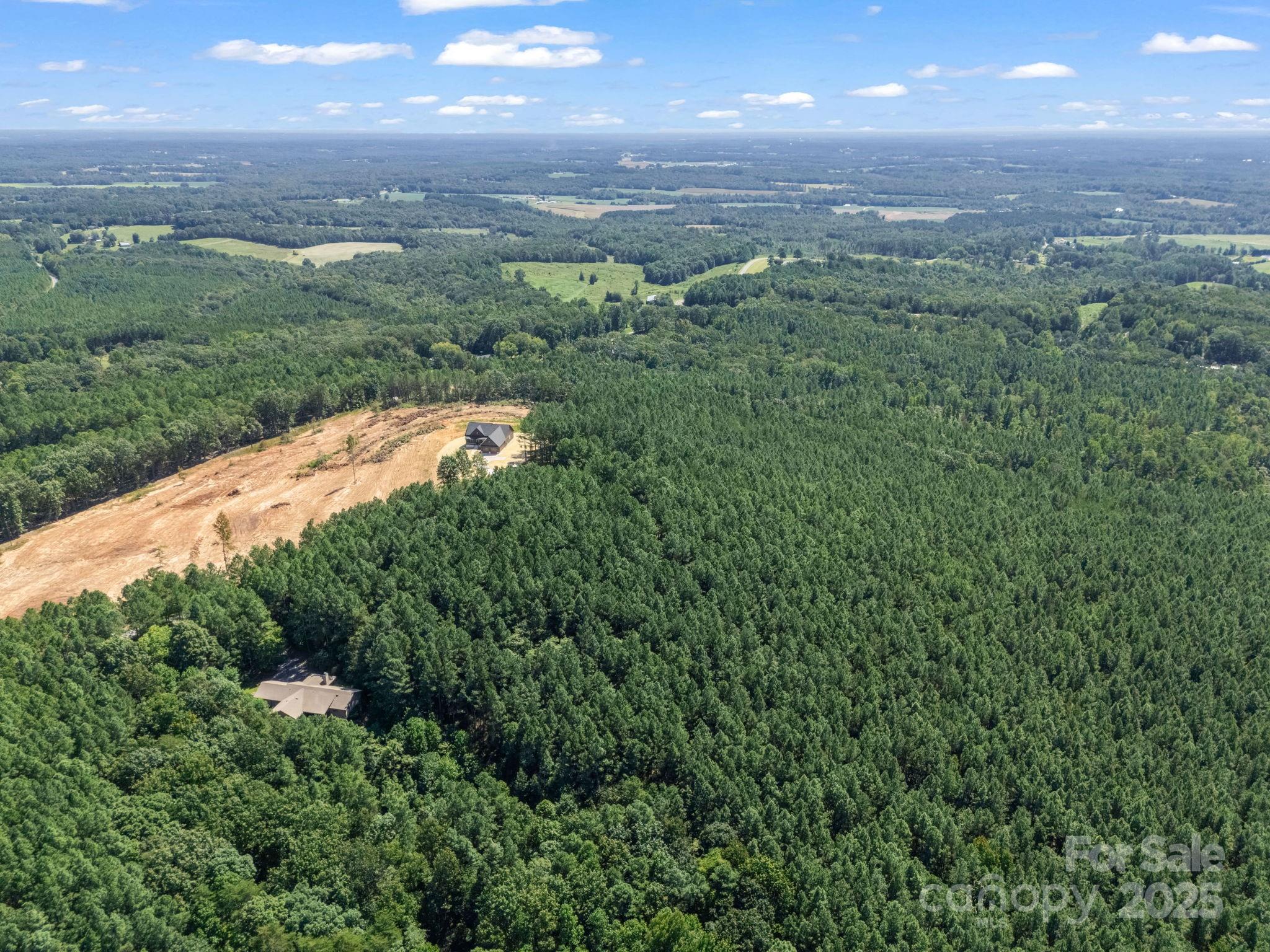 Moore Mountain Farms - Land