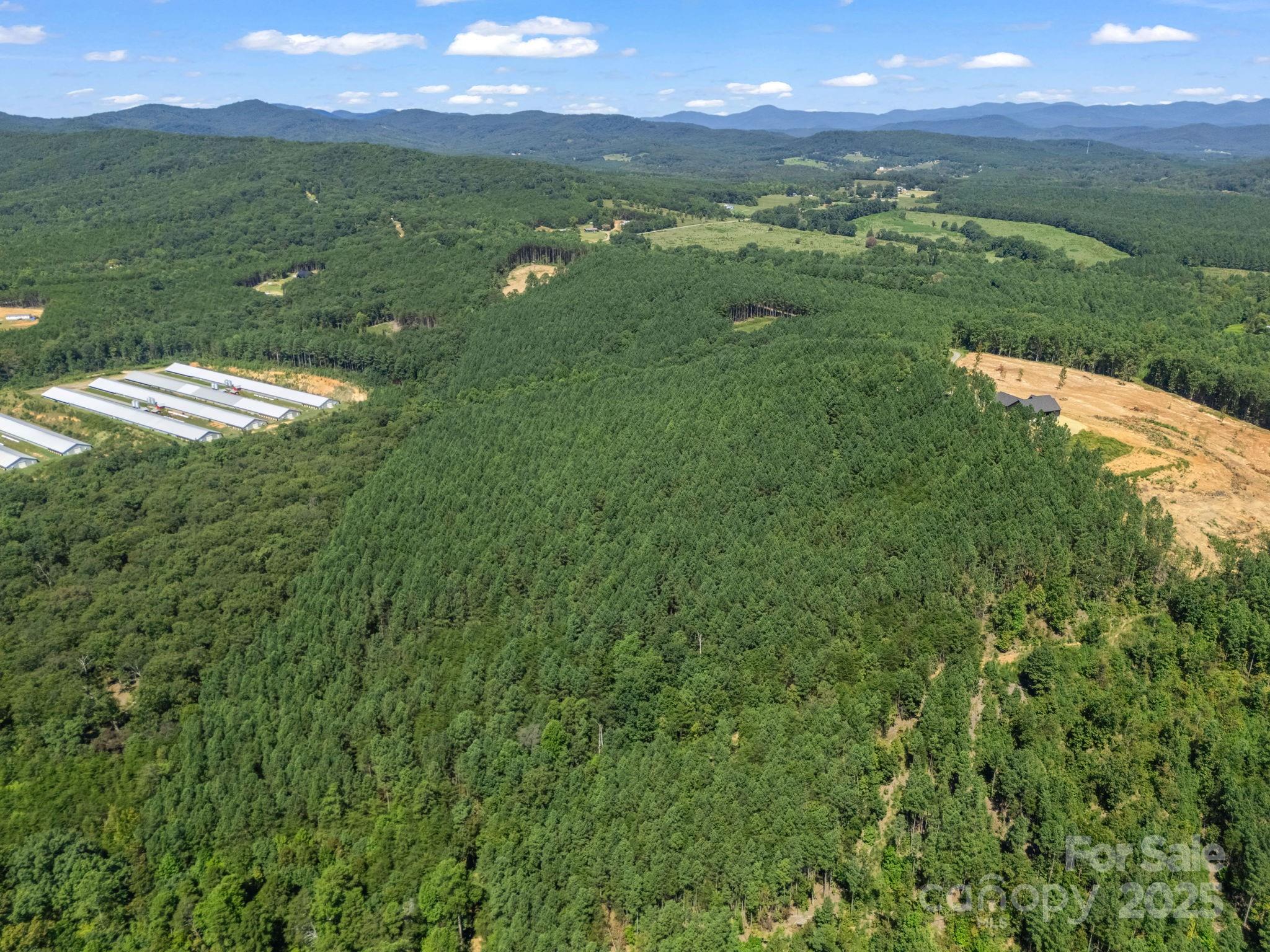 Moore Mountain Farms - Land