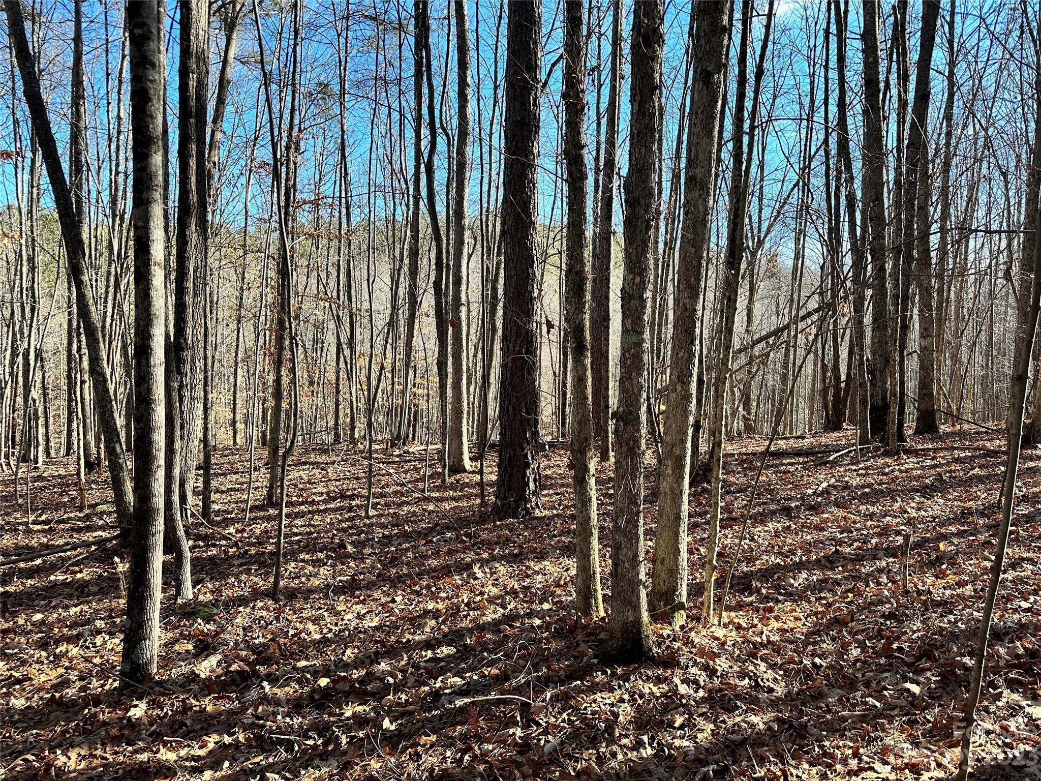 Grandview Peaks - Land