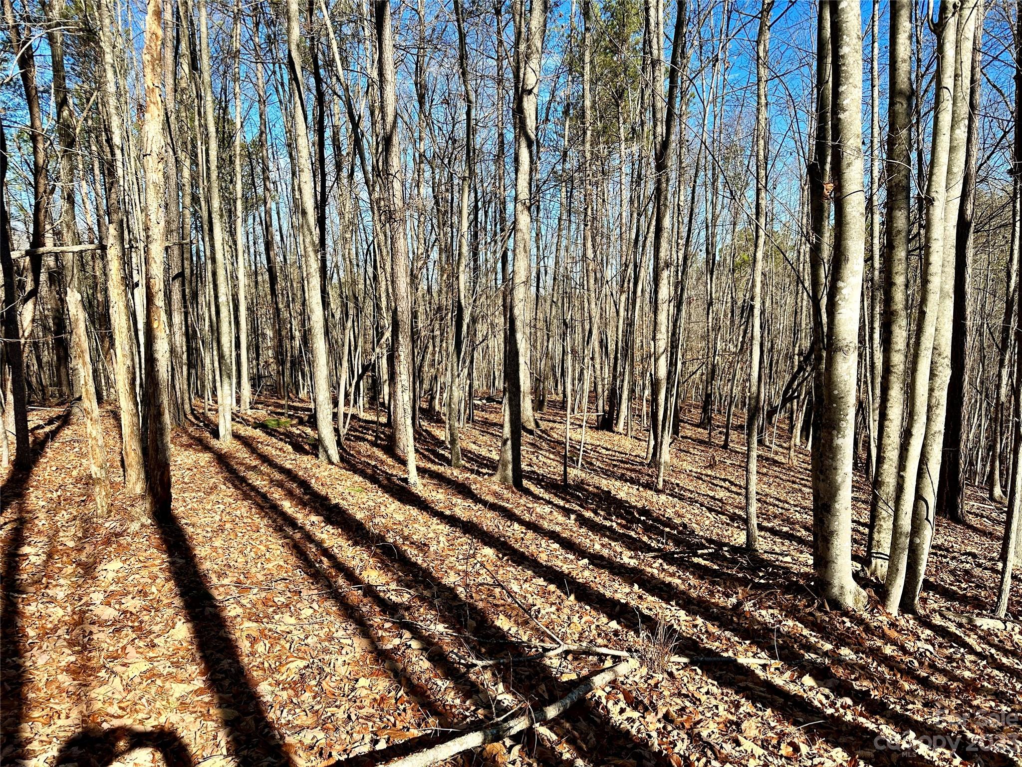 Grandview Peaks - Land