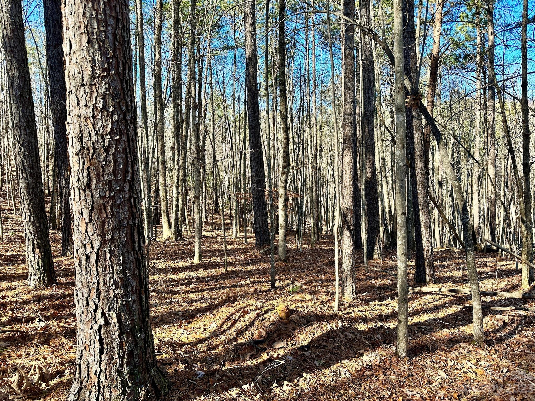 Grandview Peaks - Land