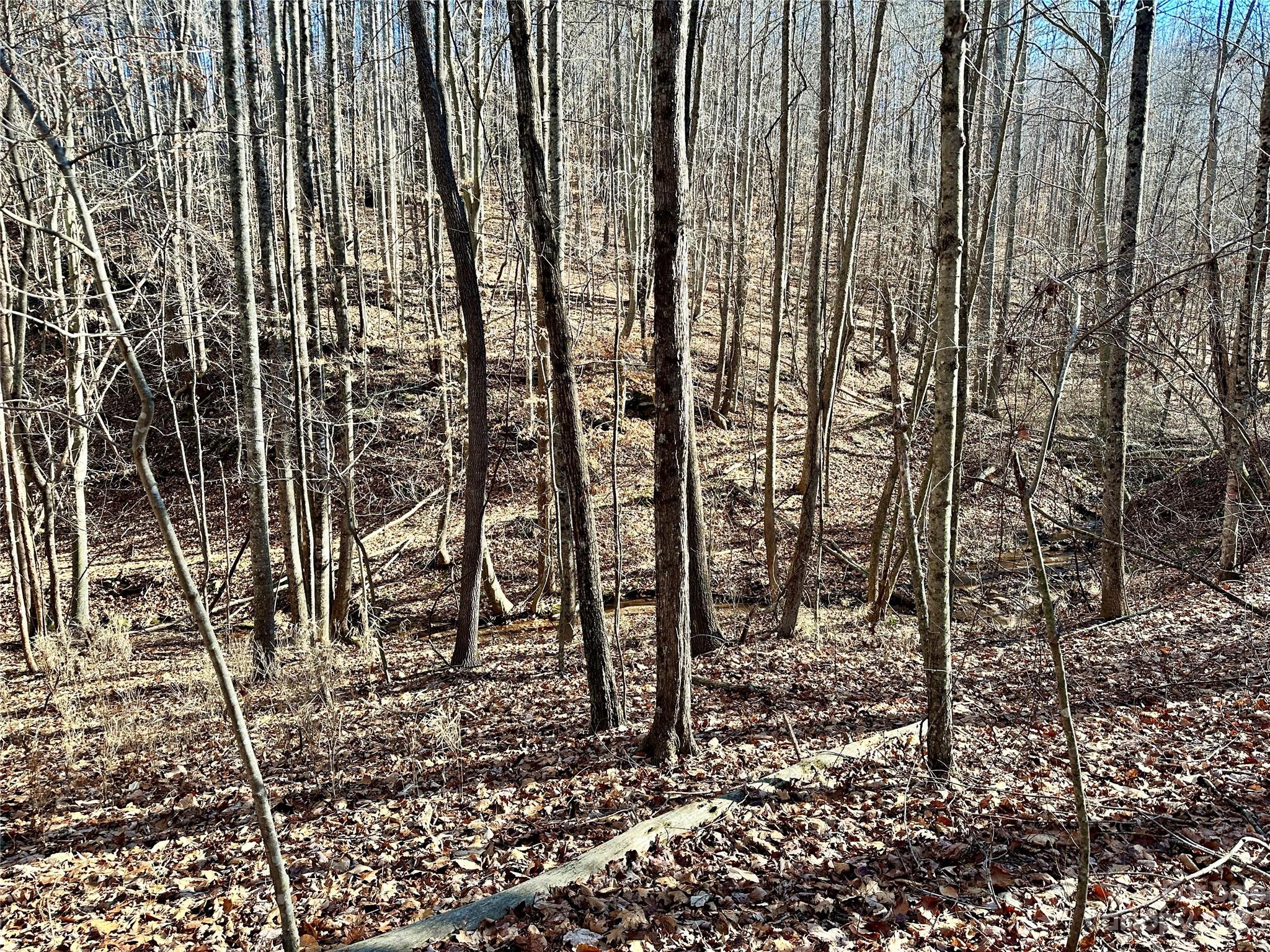 Grandview Peaks - Land