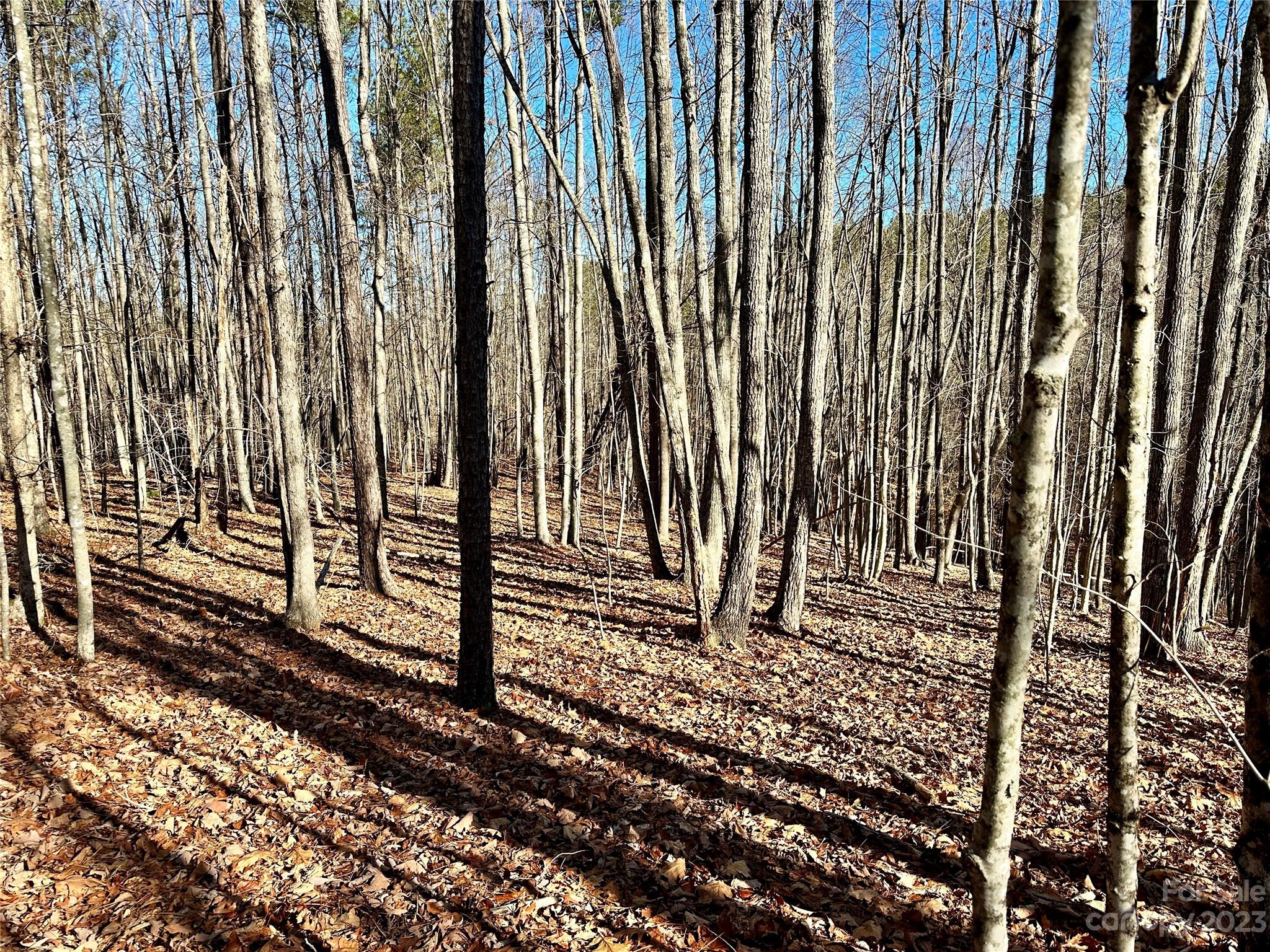 Grandview Peaks - Land