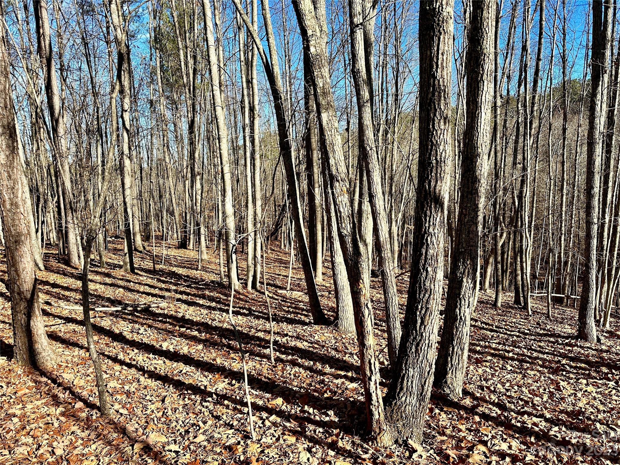Grandview Peaks - Land