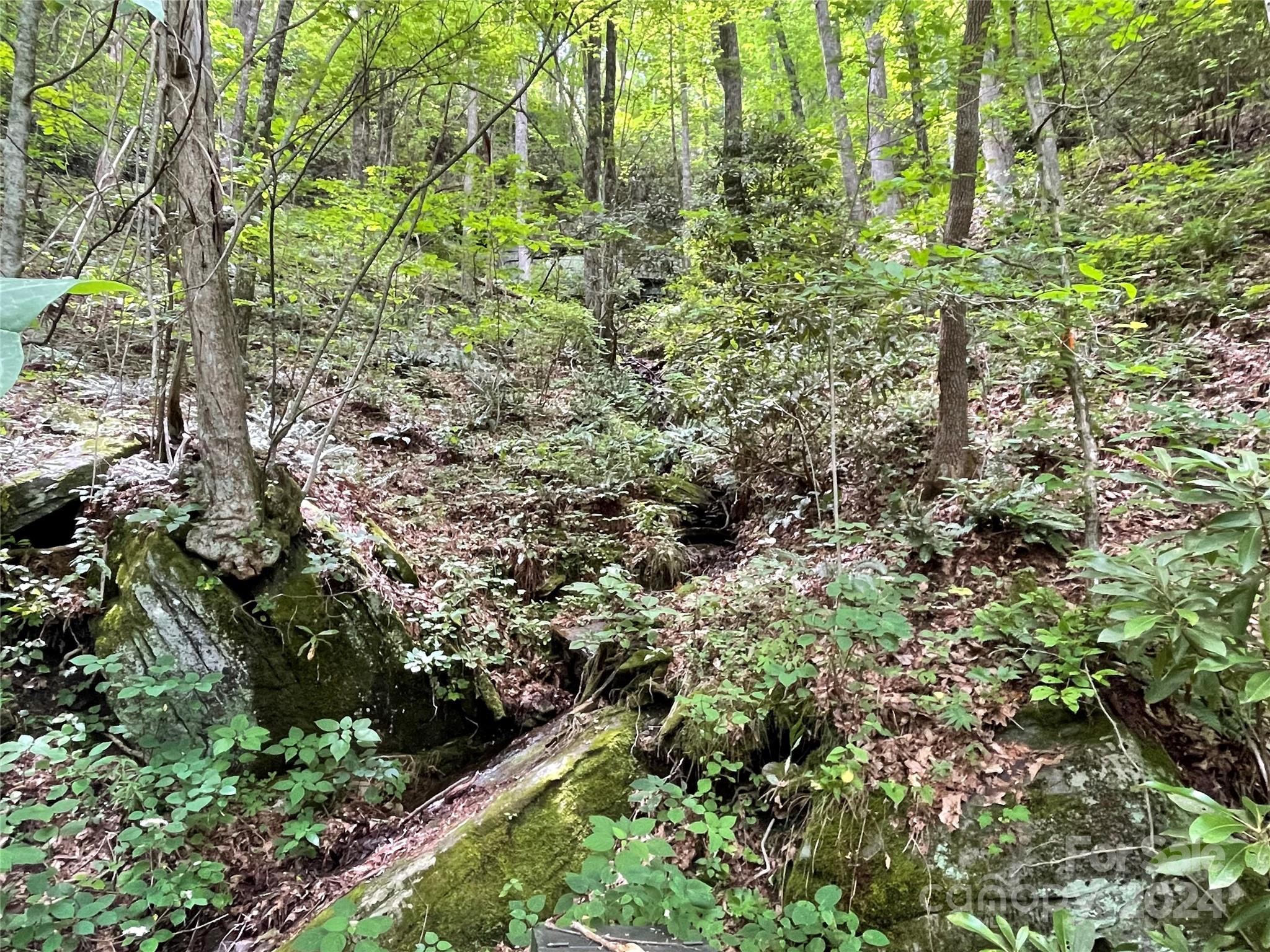 00 Eastatoe Gap Road 52