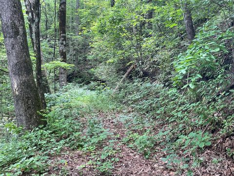 00 Eastatoe Gap Road 52 Rosman NC 28772
