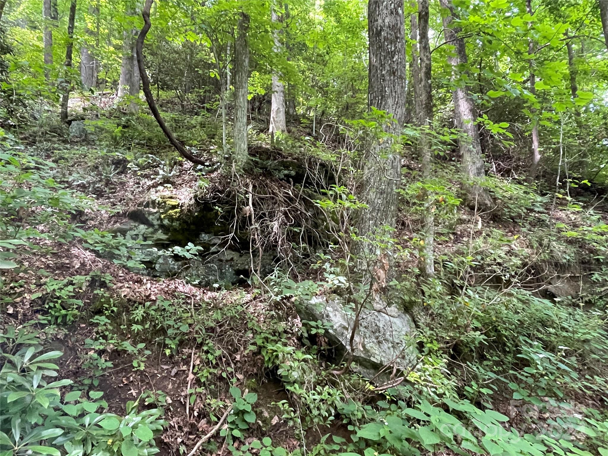 00 Eastatoe Gap Road 52