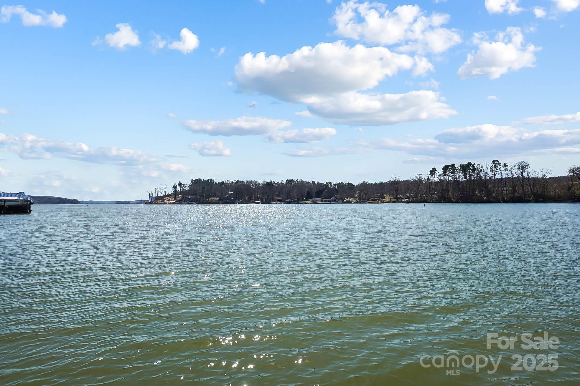 Lake Wylie - Residential