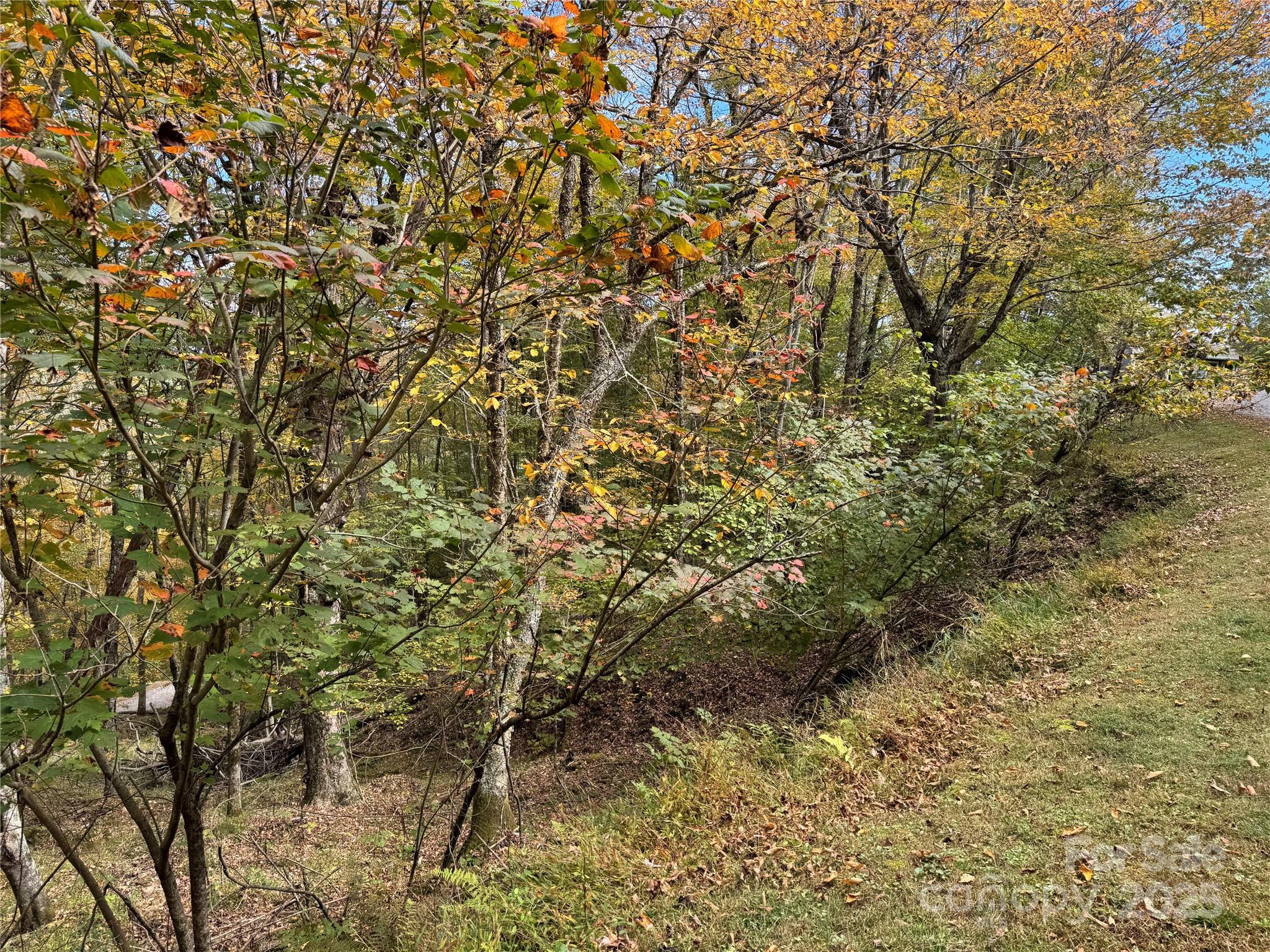 Wolf Ridge Views - Land