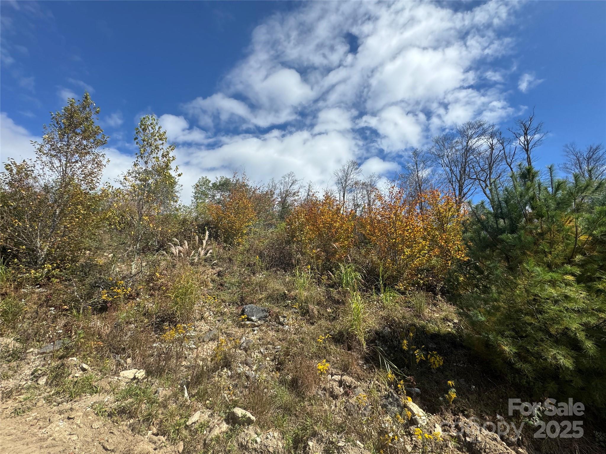 Wolf Ridge Views - Land