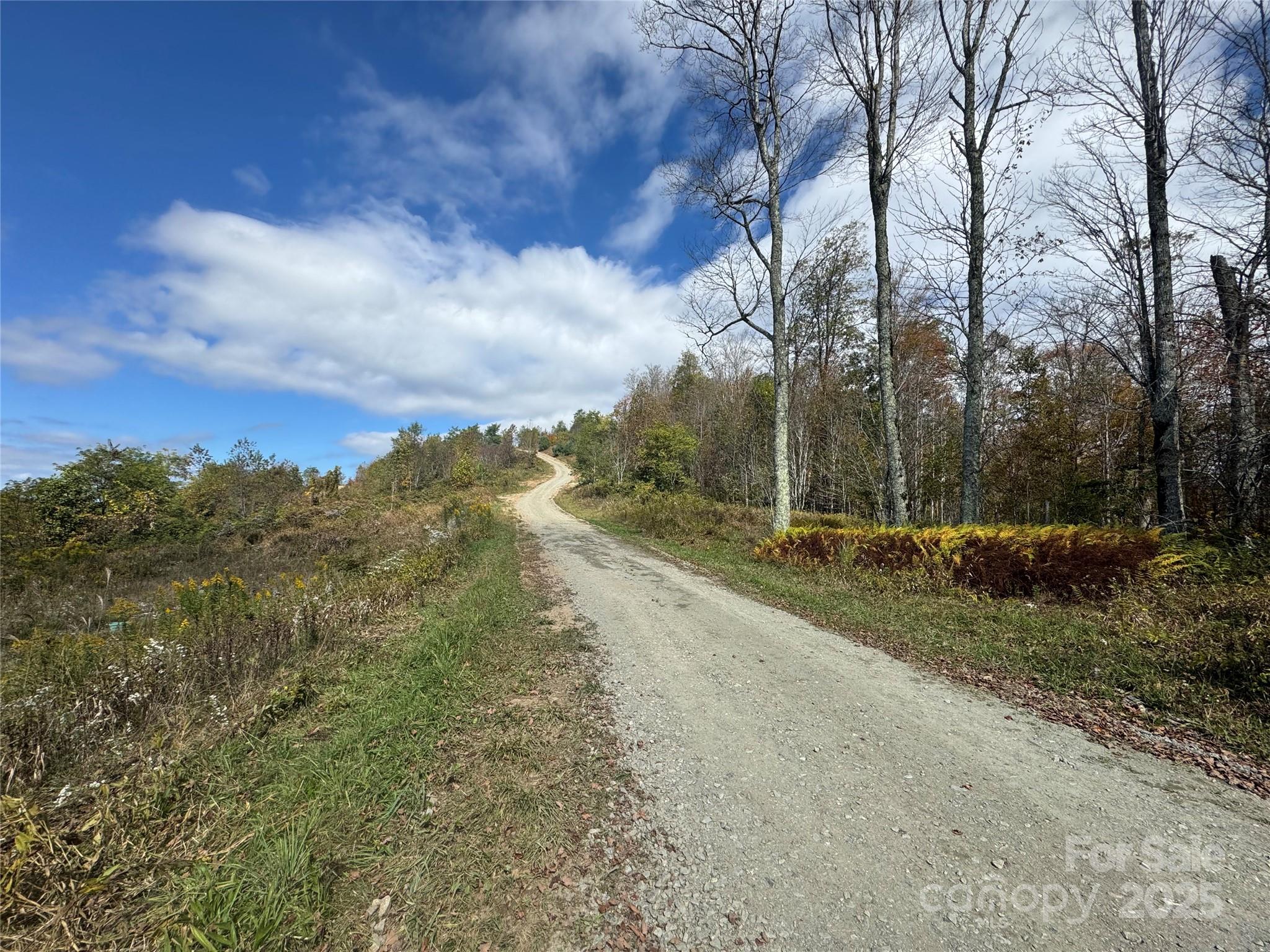 Wolf Ridge Views - Land