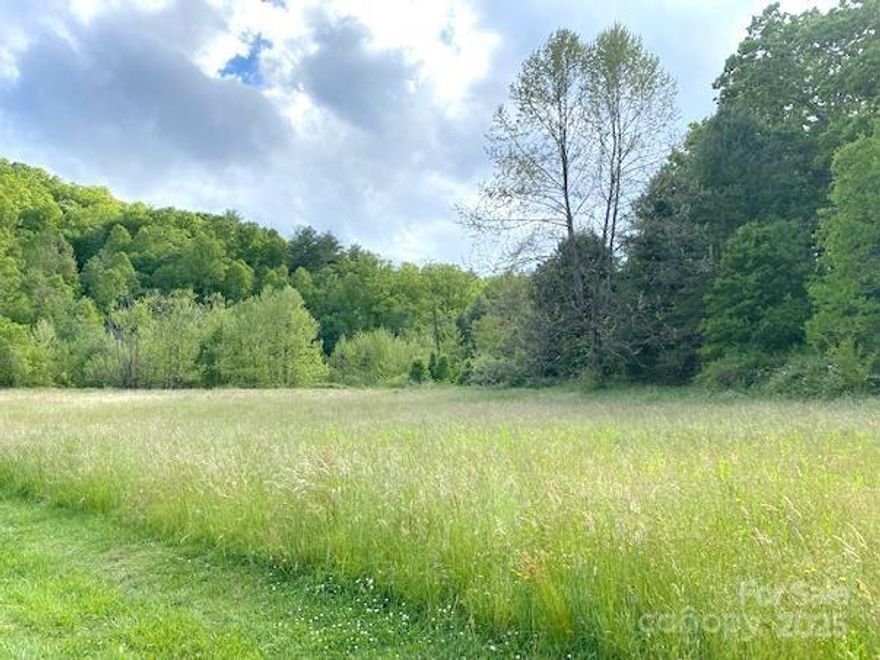 Discover an exceptional 5.73-acre development opportunity in the heart of Horse Shoe, NC, positioned directly along the highly sought-after Ecusta Trail. Boasting approximately 600 feet of trail frontage, this property is ideally situated for a standout mixed-use, commercial, or residential development. 

With an average daily traffic count of approximately 11,500 vehicles on Brevard Rd, this location enjoys excellent visibility and accessibility. The property features a beautiful creek and a serene on-site pond, adding natural character and appeal to future development plans. Utility advantages include city water and private sewer already on site. 

Conveniently located just minutes from Hendersonville, Mills River, and Brevard, the property sits within one of Western North Carolina’s fastest-growing corridors, drawing residents, trail users, and visitors alike. The owners are open to a joint venture or other partnership structures, creating a rare opportunity for investors or developers to bring a premier trailside project to life.