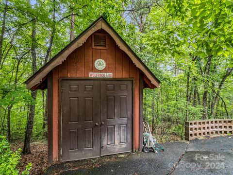 A home in Lake Lure