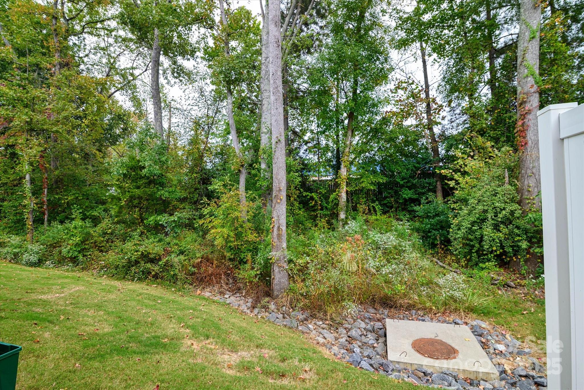 Fifteen 15 Cannon - Residential