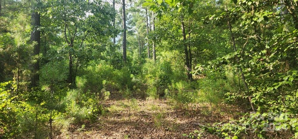 The Waterfront Club - Land