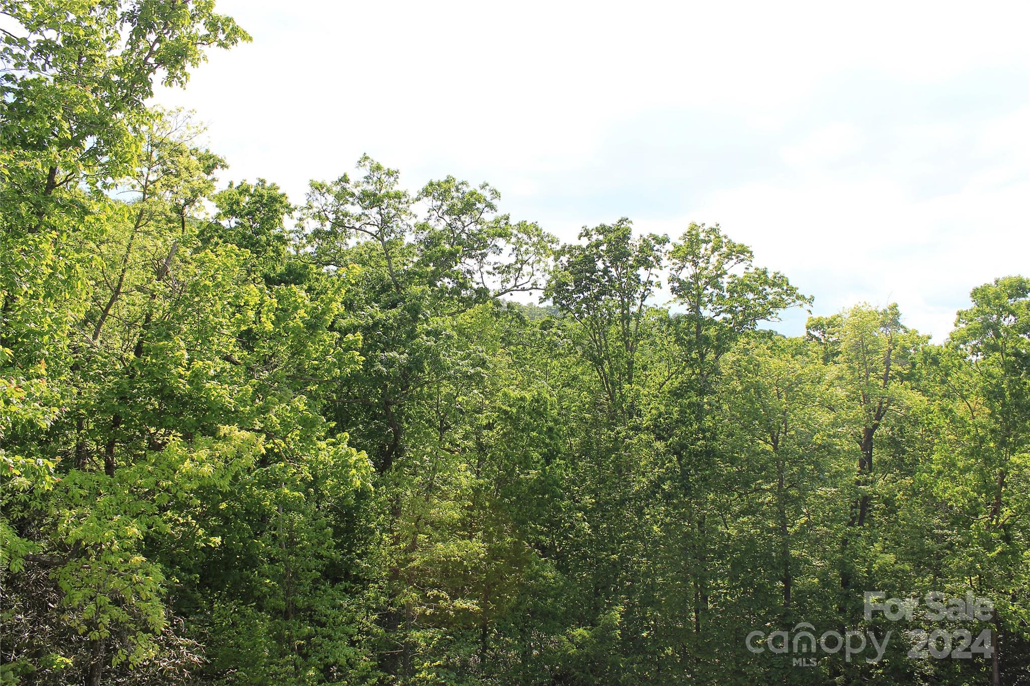 Carriage Park - Land