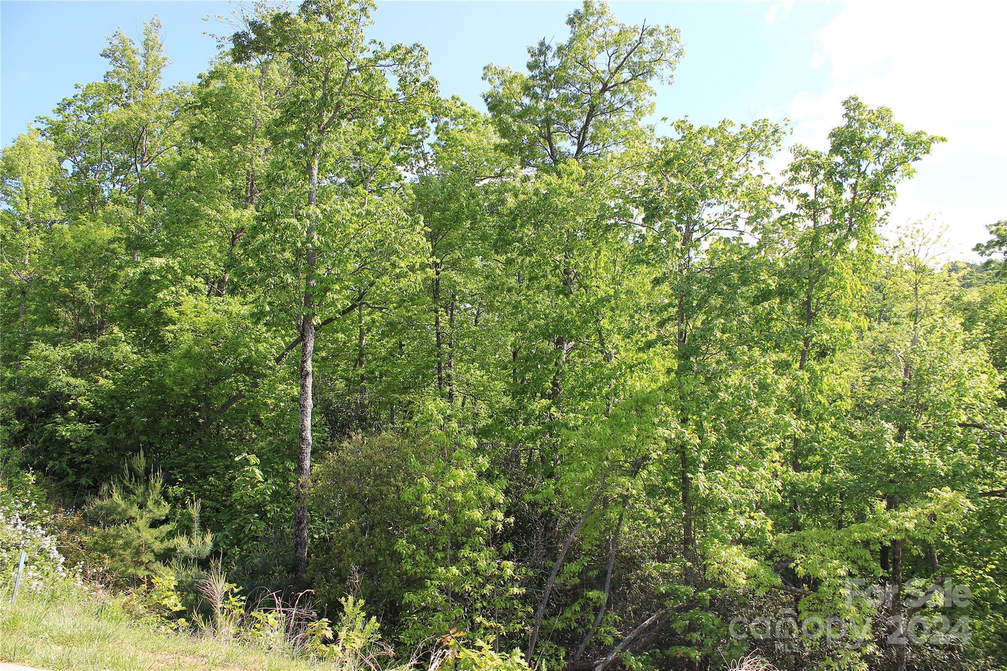 Carriage Park - Land