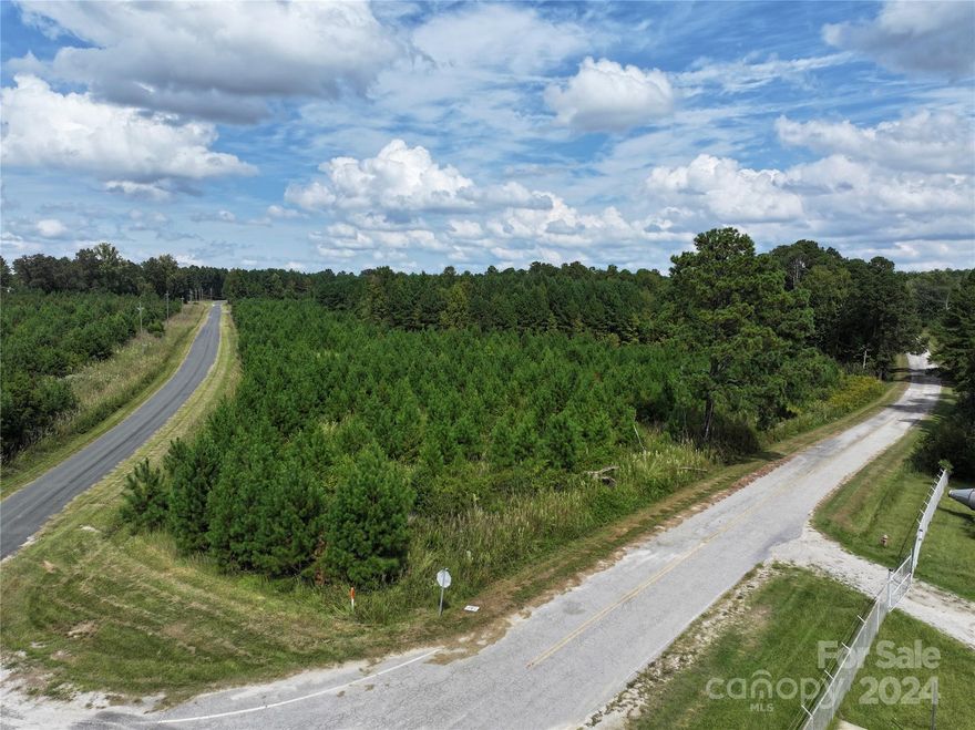 60.60 acres just outside Jefferson.  Tons of road frontage on both sides of J L Love Road.  This tract is currently growing pine trees and is a hunters paradise.  Perfect for residential development as well.  There is and additional  4.82 acres nearby on Armory road priced at $38,560.  tax id 037-000-008-075 and 037-006-004-012.