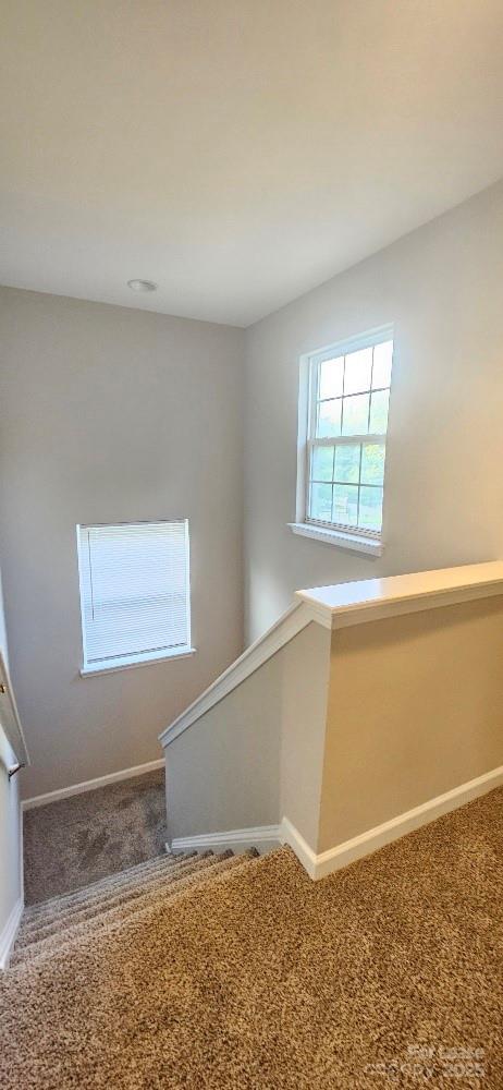 Havenbrook - Residential Lease