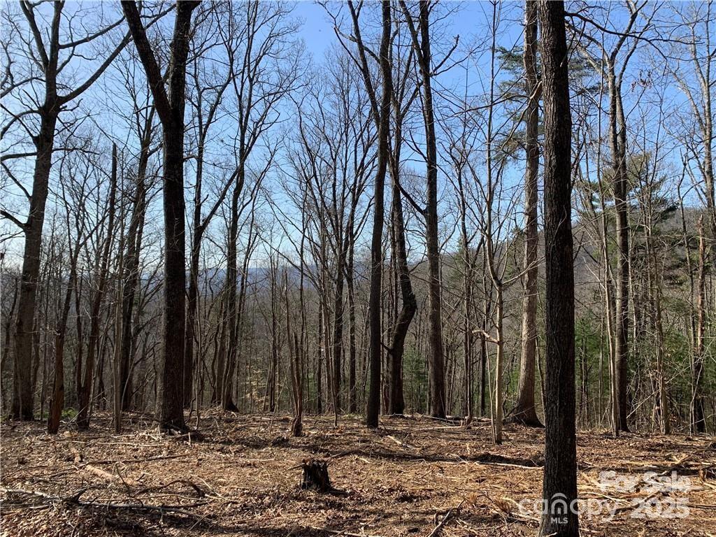228 Spivey Mountain Road 5