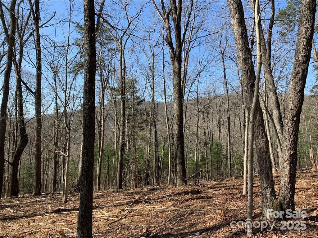 228 Spivey Mountain Road 5