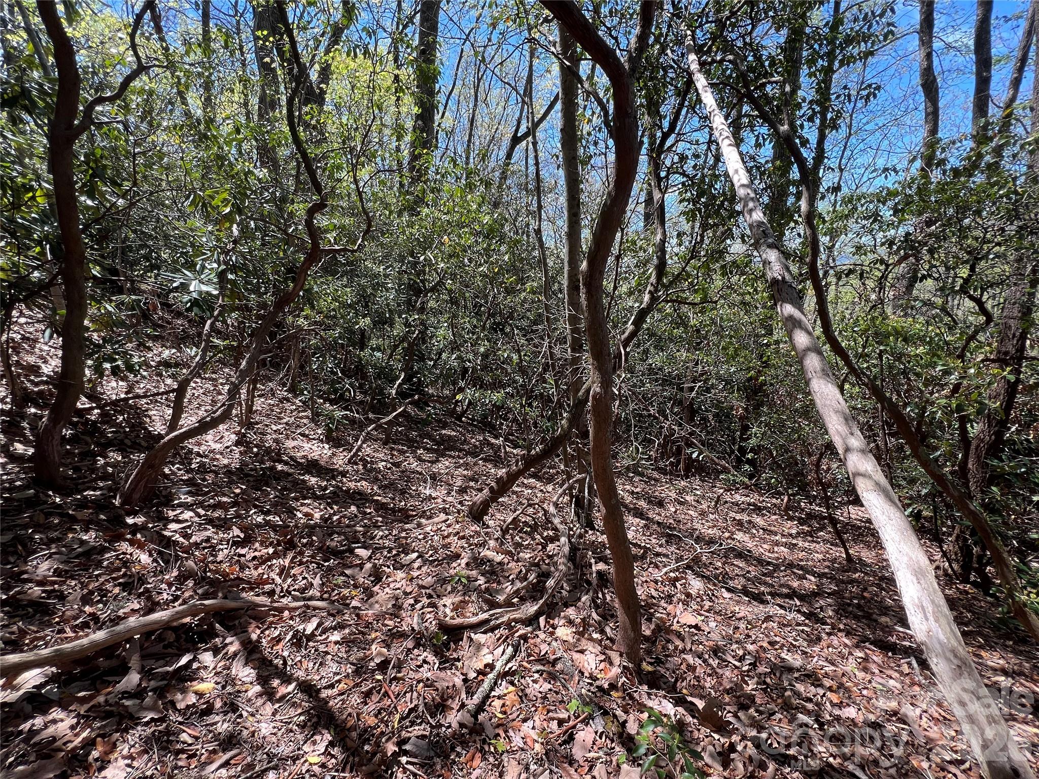 99999 Summer Haven Road