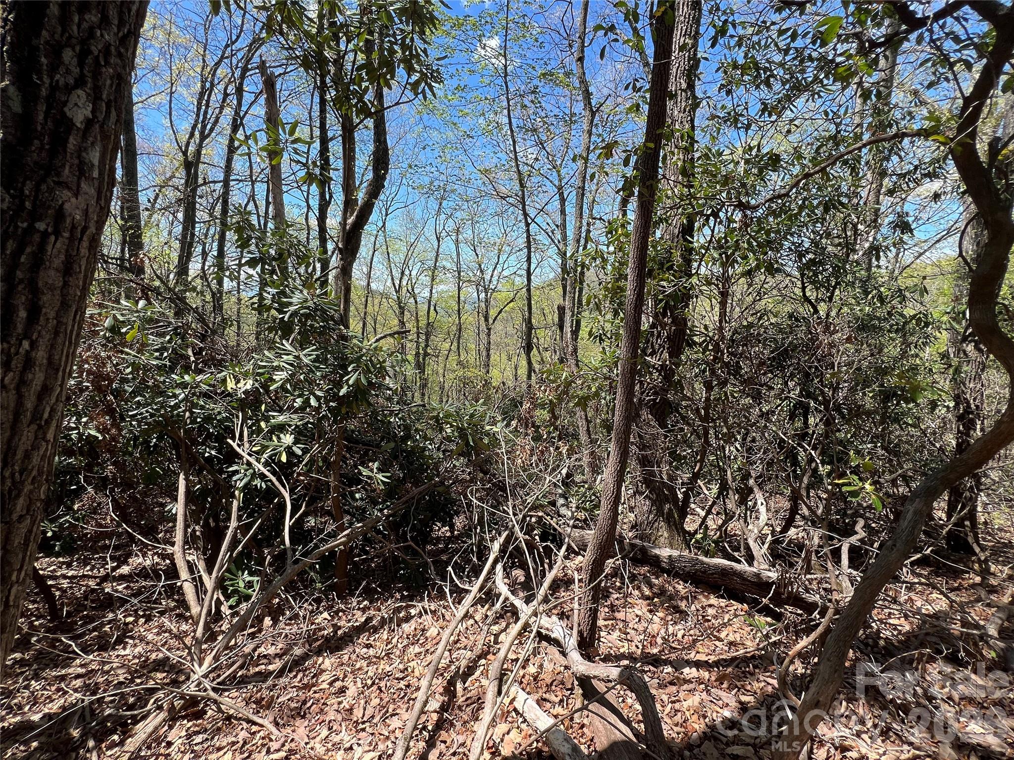 99999 Summer Haven Road