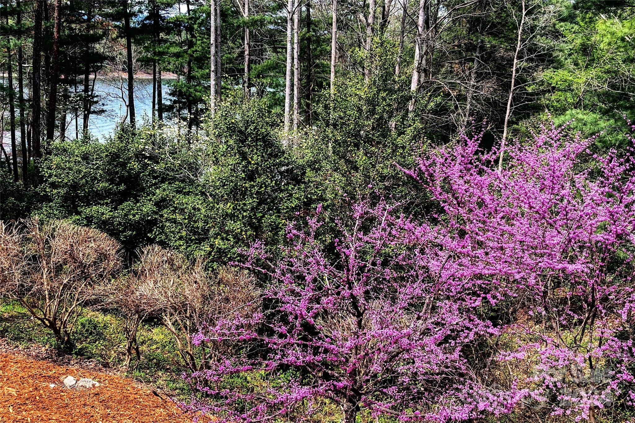 Southpointe - Residential