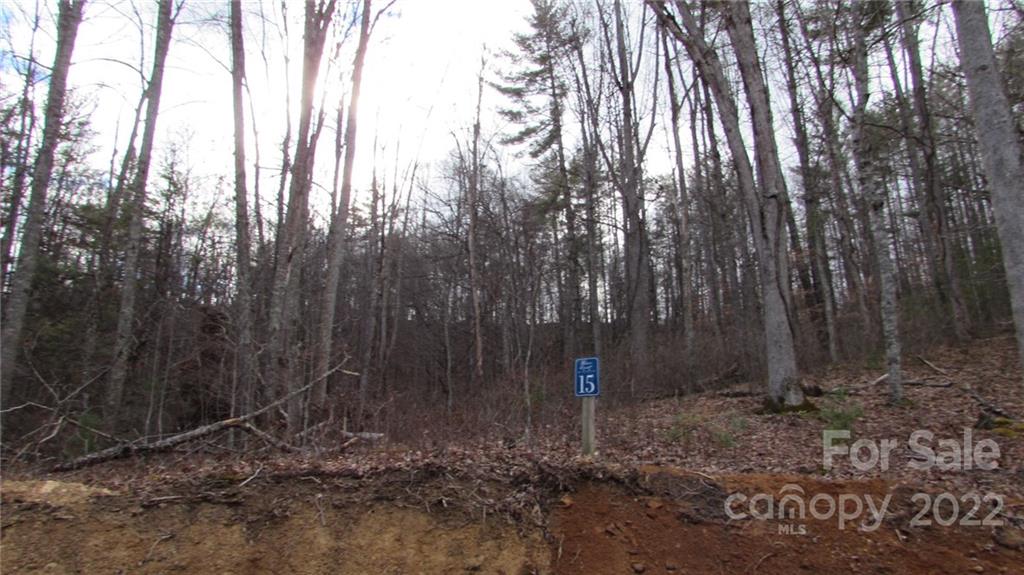 00 Falling Water Drive 15