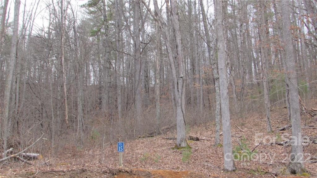 00 Falling Water Drive 15