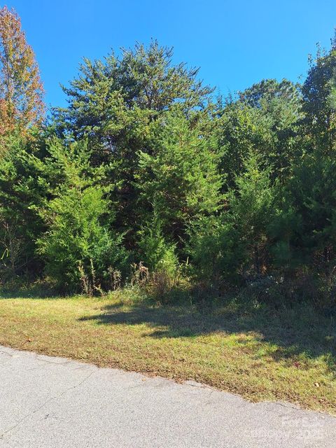 26 Planters Row Road 26 Iron Station NC 28080
