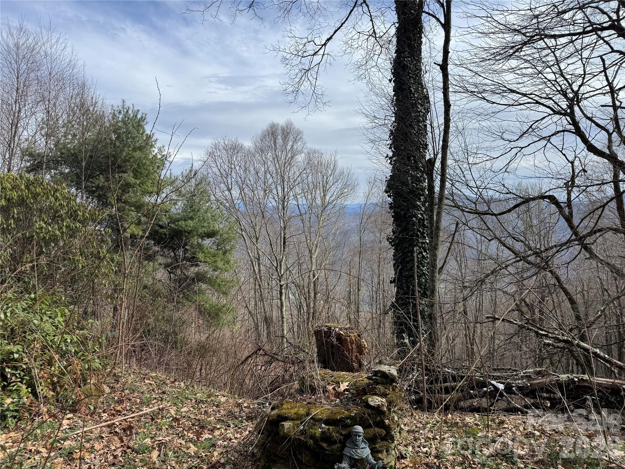 Laurel Heights - Residential