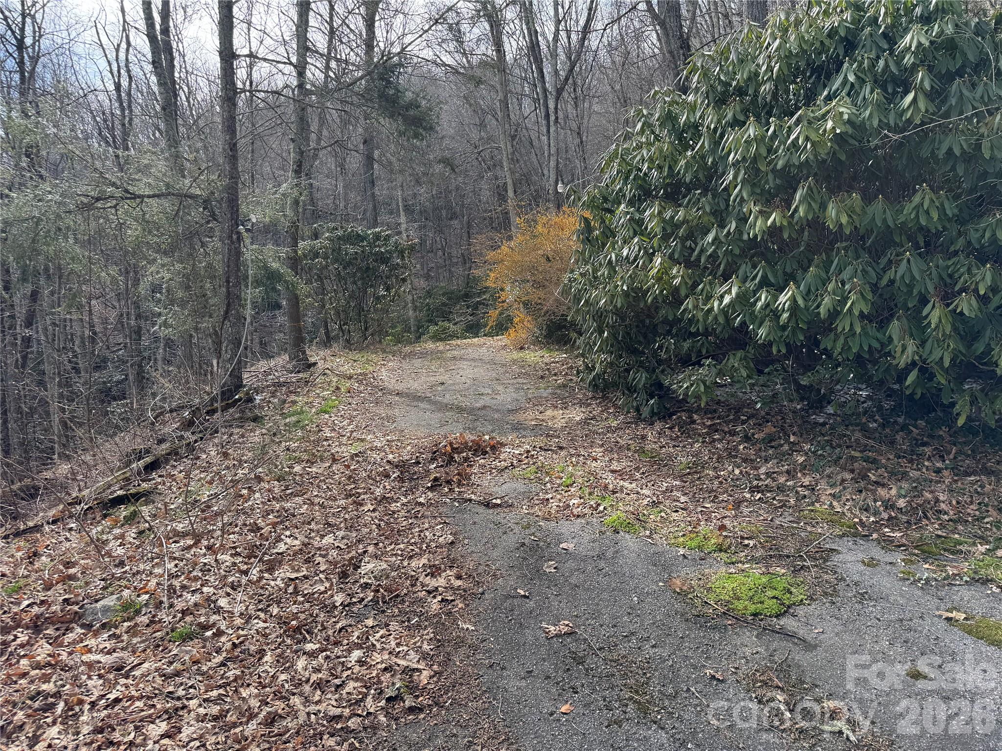 Laurel Heights - Residential